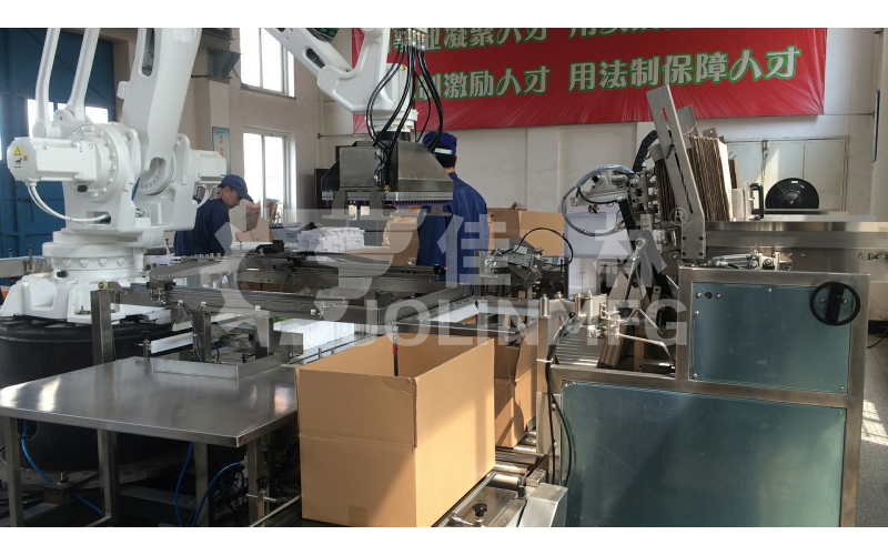 盒類藥品自動(dòng)化后道包裝線